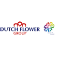 Dutch Flower Group